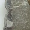 Vintage Lions International Club Belt Buckle scratches