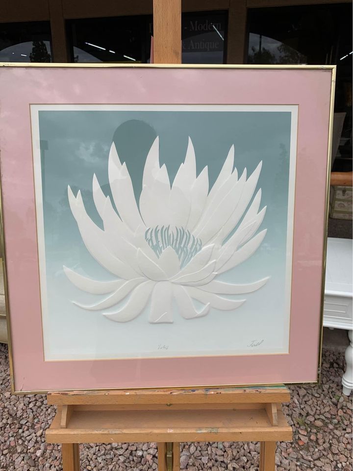 Lotus Wall Print