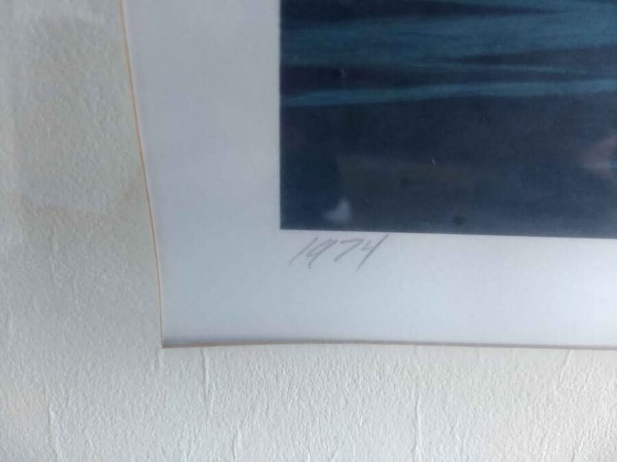 Mist Of Morning Framed Print