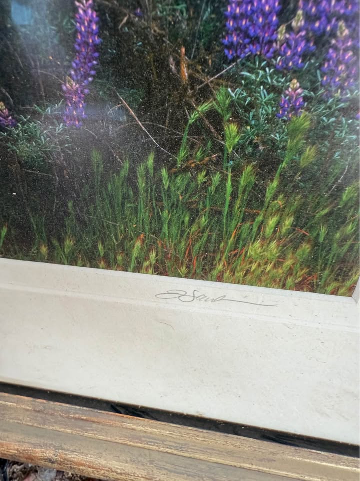 Lupine, Oaks, and Mist Gavrilis Print