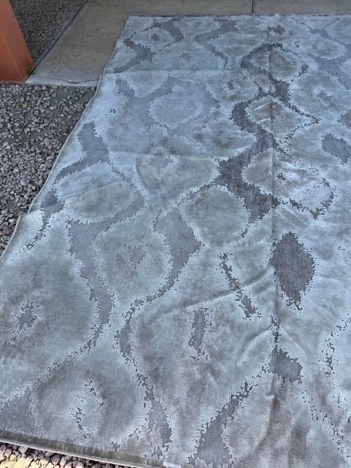Saphir Zam Gray Rug