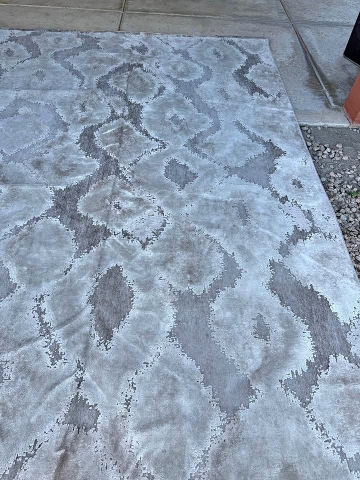 Saphir Zam Gray Rug