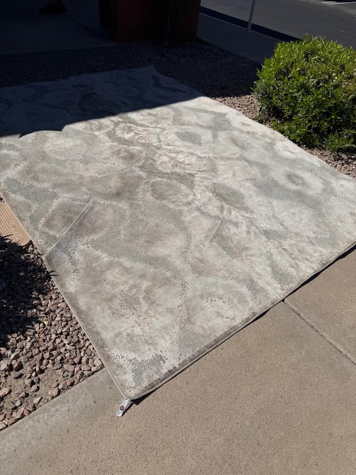 Saphir Zam Gray Rug