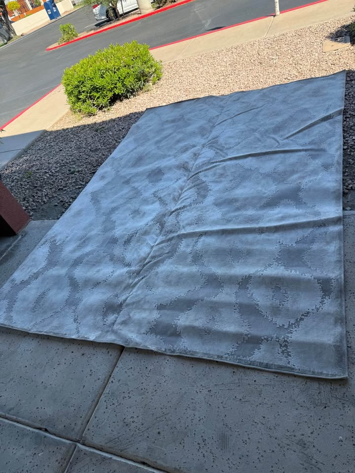 Saphir Zam Gray Rug