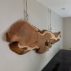 Live Edge Wood Wall Hanging