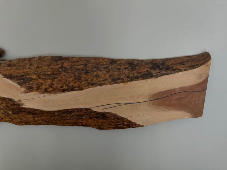 Live Edge Wood Wall Hanging