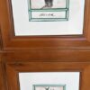 Pair of Storage Cabinets with Garden Theme